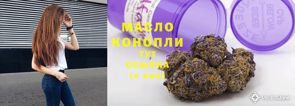 ешки Вяземский