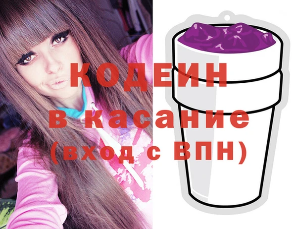 ешки Вяземский
