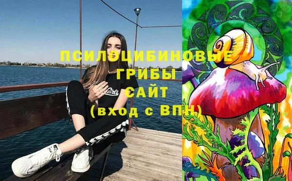 ешки Вяземский