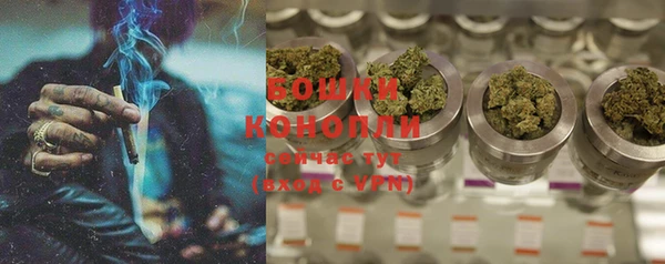 ешки Вяземский