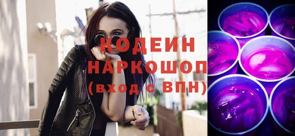 ешки Вяземский